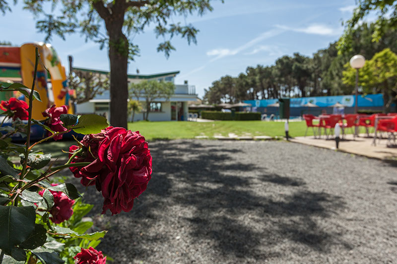 ENTORNO NATURAL Y FAMILIAR